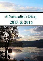 A Naturalists Diary Wildlife Film